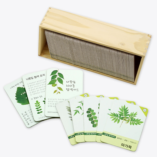 나뭇잎탐색카드100종